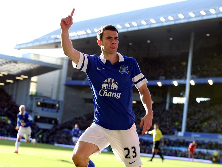 Seamus Coleman: Injury concerns