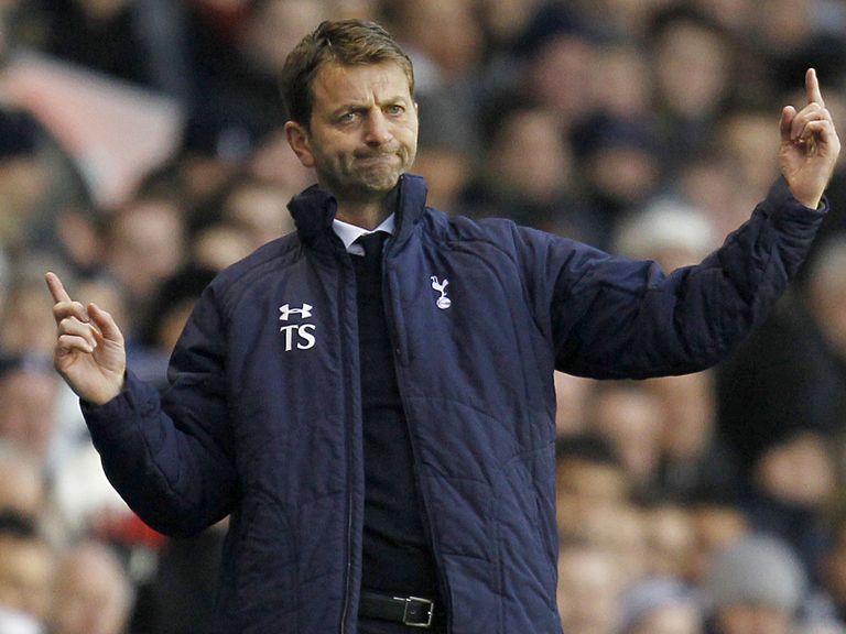 Tim Sherwood: Focused on getting current squad fit
