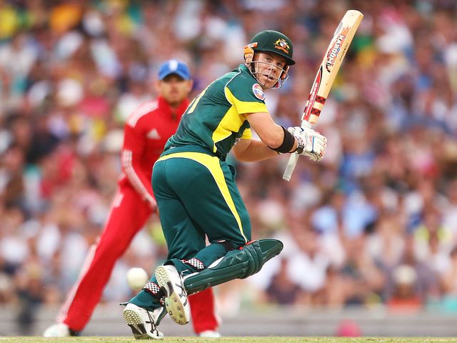 David Warner hit a half-century for Australia