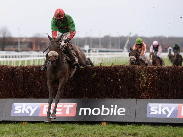 The Rainbow Hunter (right): Showed his stamina reserves at Doncaster