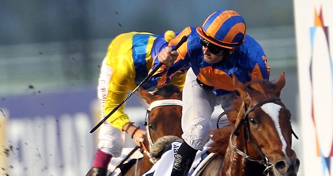 Daddy Long Legs: Will race without shoes on Thursday