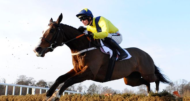 Our Conor: In top nick ahead of the Cheltenham Festival