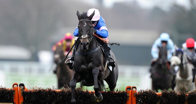 Irish Saint can give Paul Nicholls another Betfair Hurdle