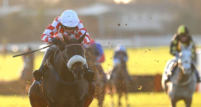 Deputy Dan: Straight to Cheltenham