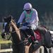 Vautour wins in Supreme style