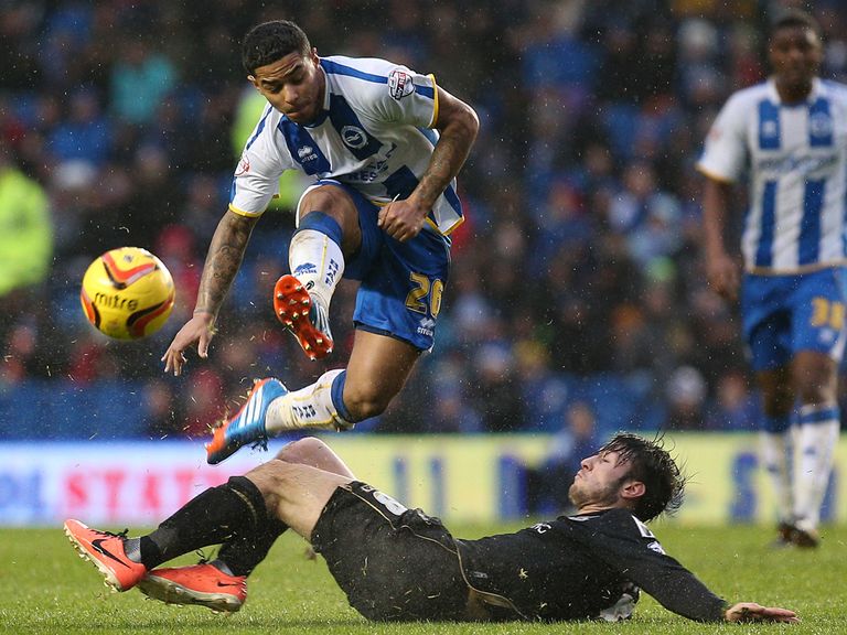 Liam Bridcutt: Target for former boss Gus Poyet
