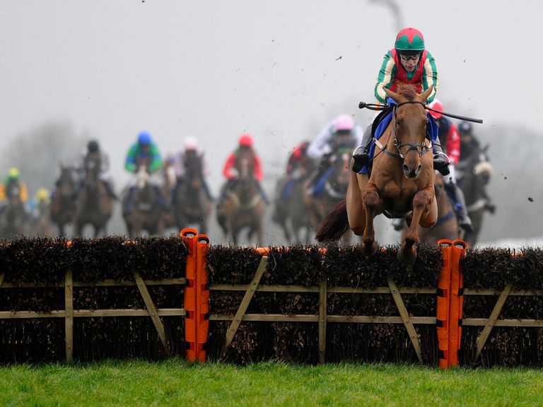Vieux Lion Rouge: Fancied to strike at Sedgefield