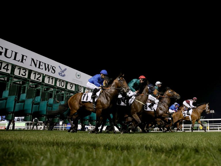 Meydan: Will replace the Tapeta surface with dirt