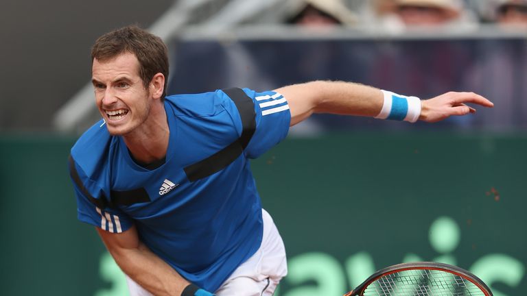 Andy Murray: Has dropped to eighth in the world