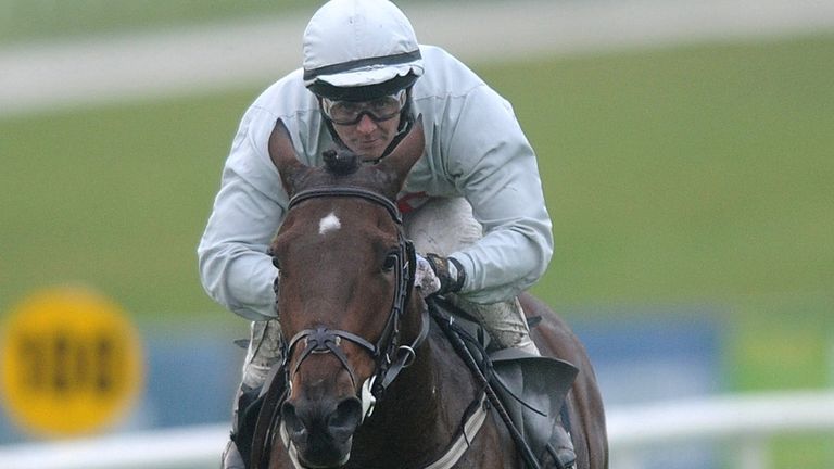 Euphrasia: Set for Irish Champions weekend