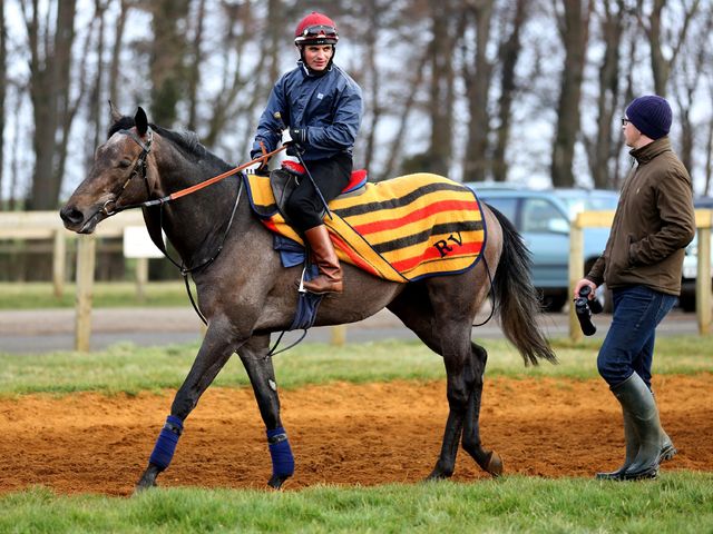 http://e2.365dm.com/14/03/640/Kingston-Hill-gallops-Roger-Varian_3104434.jpg?20140818111828