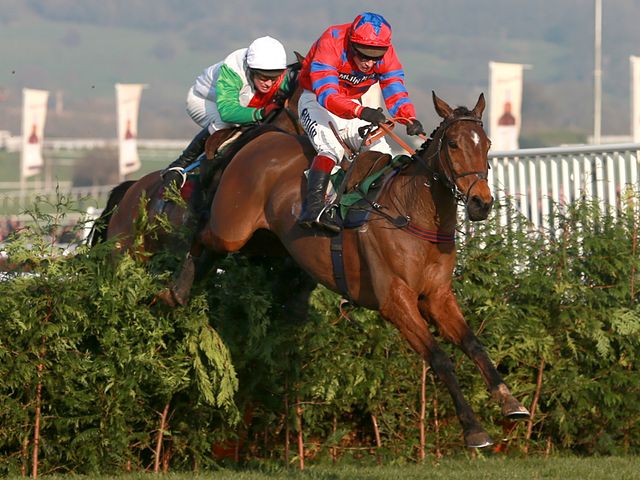 Balthazar King won the cross-country event again
