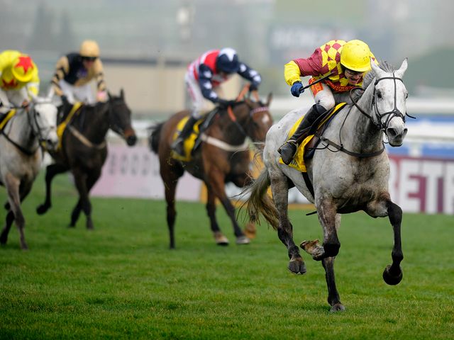 Dynaste has his day in the sun and wins the Ryanair Chase