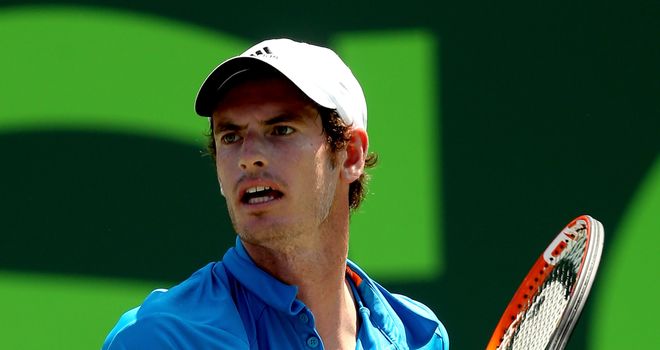 Andy Murray: Will be deliberating over his future in the coming months