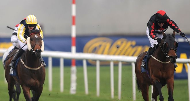 Barkston Ash (left): Curragh hopeful