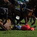 Walsh injured in heavy fall