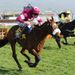 Tiger roars in Triumph