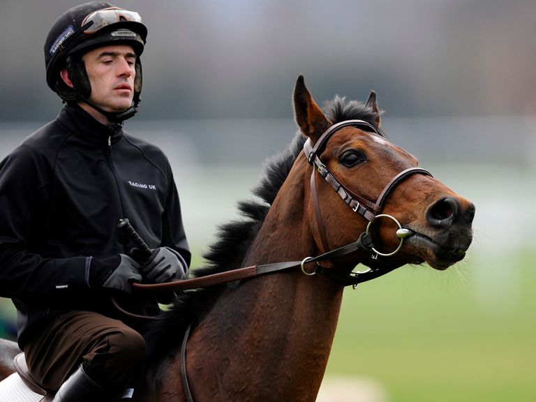 Hurricane Fly reportedly none-the-worse for his Cheltenham run
