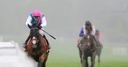 Lion could roar at Ascot