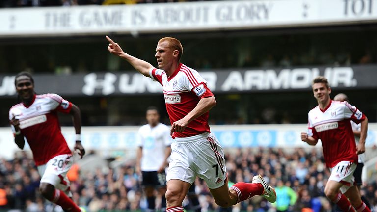 Steve Sidwell: Will become a free agent this summer
