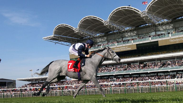 Sky Lantern: Among the Matron Stakes entries