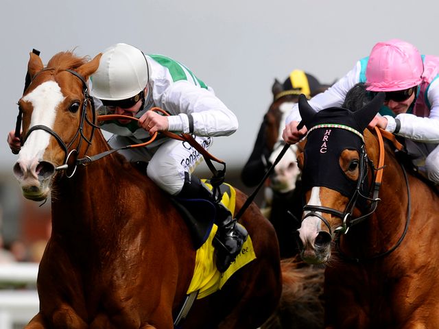Cubanita (left) gets the better of Noble Mission at Newbury