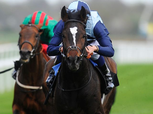 Western Hymn bounced back to form with an impressive win in France.