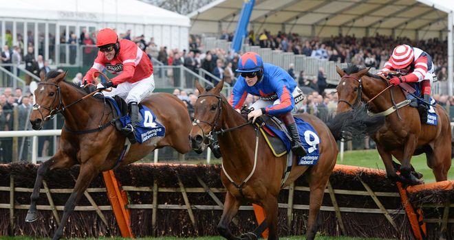 Lac Fontana leads Splash Of Ginge home at Aintree