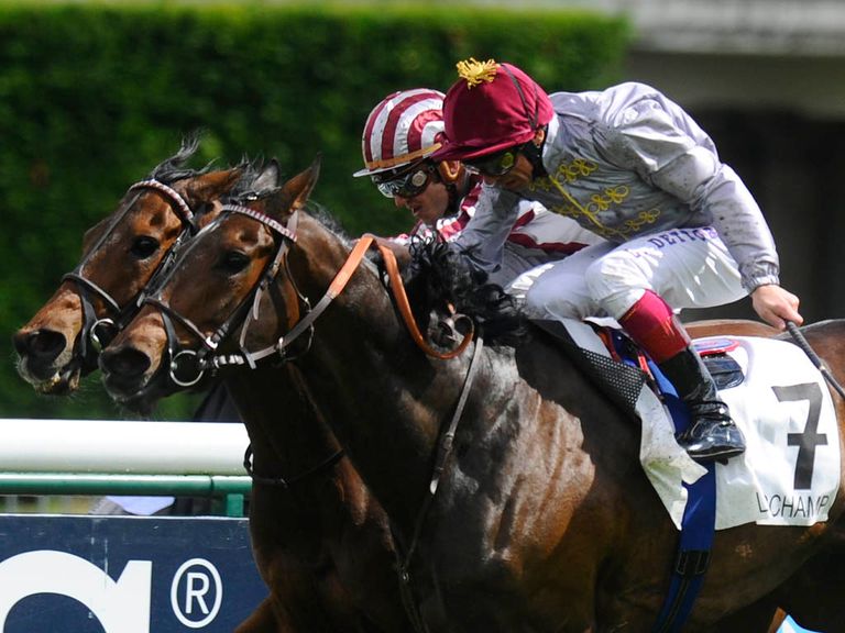 Treve: Flattered by her Arc win?