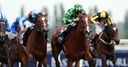 Volume aimed at Yorkshire Oaks