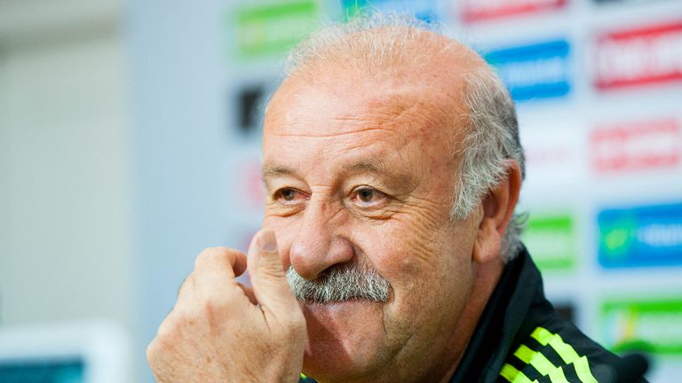 Vicente del Bosque: Spain coach has a stable squad for the World Cup