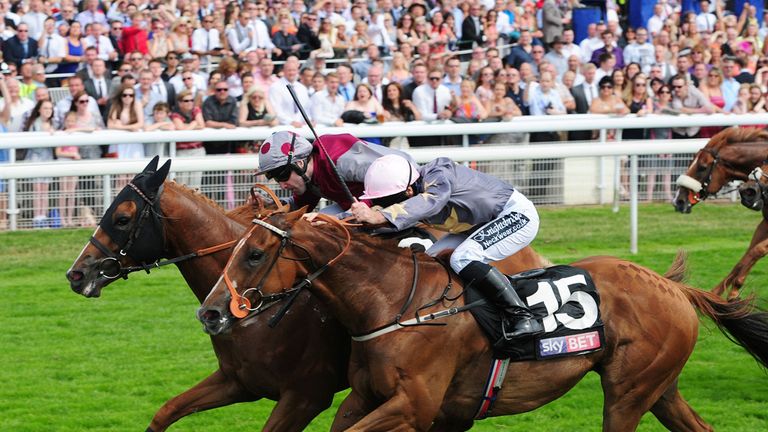 Tropics: Will drop in trip for Glorious Goodwood