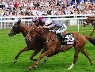 Tropics: Will drop in trip for Glorious Goodwood