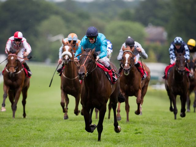 Brown Panther goes clear to score at Sandown.