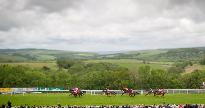Goodwood could be an option for Jane's Memory