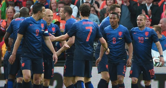 Robin van Persie: Holland captain scored the only goal against Ghana