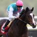 Leger claims on line in Gordon
