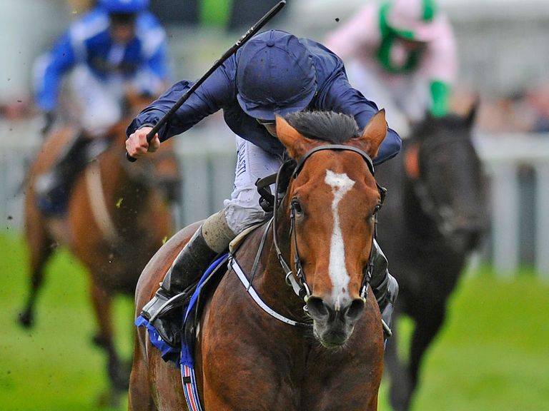 Orchestra: Booked his place in the Derby with victory at Chester.