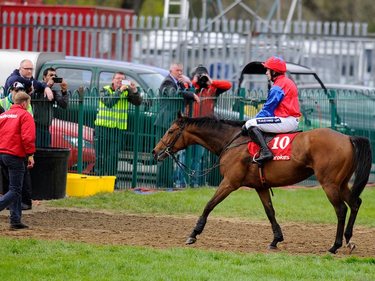 Quevega is set to be retired