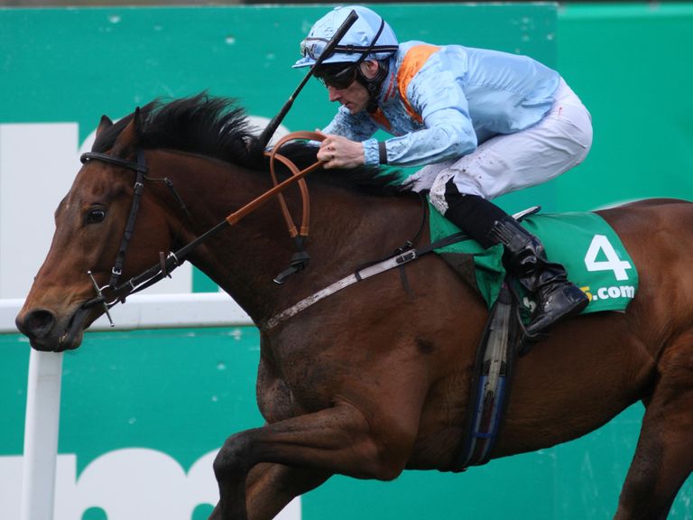 Penitent: Tops the weights for Saturday's big handicap prize.