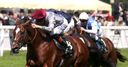 Toronado set for Sussex clash