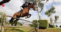 Hickstead delight for Breen