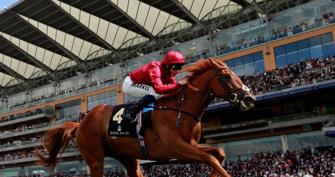 Eagle Top could run at Ascot