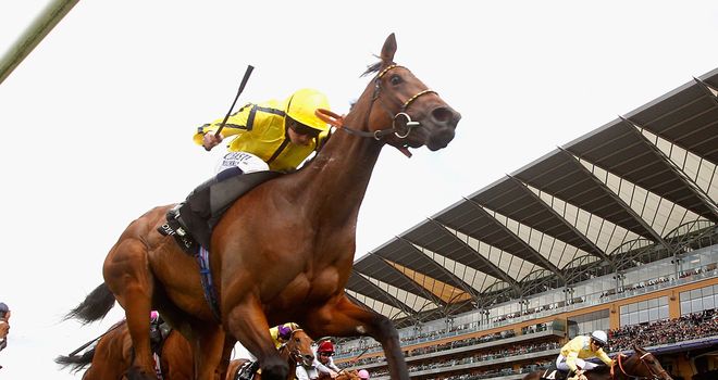 Rizeena could run in the Falmouth Stakes at Newmarket.