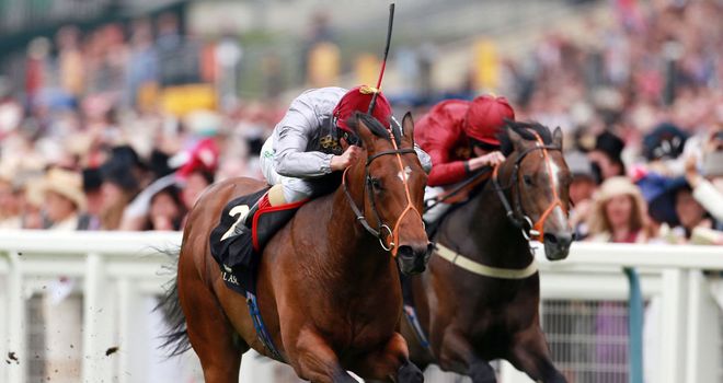 Baitha Alga could run at Newmarket