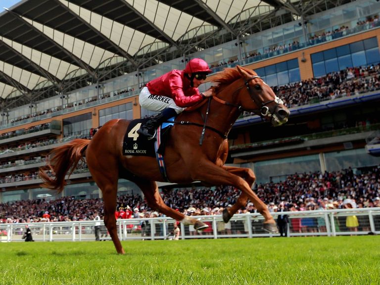 Eagle Top could run at Ascot