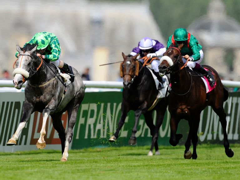 http://e2.365dm.com/14/06/768x576/the-grey-gatsby-shamkiyr-prix-du-jockey-club_3151747.jpg?20140601155506