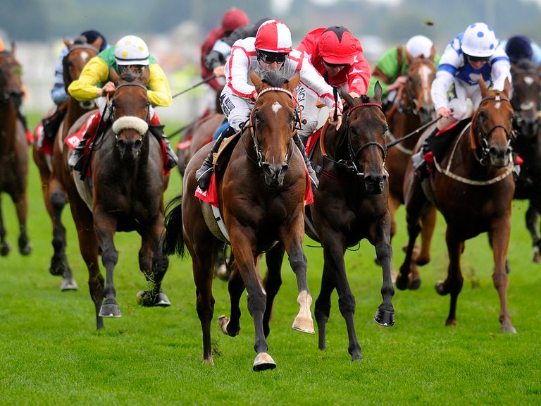 http://e2.365dm.com/14/06/768x576/tiger-cliff-tom-queally-york-ebor_3161638.jpg?20140621131447