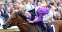Arabian proves Cambridge Queen