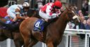 Pitt looks at Goodwood for Max